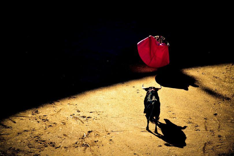 Corrida Bull