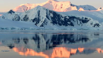 CIO Chartbook: Goodbye, 2025